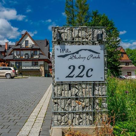 Willa Skalny Potok Zakopane Ngoại thất bức ảnh