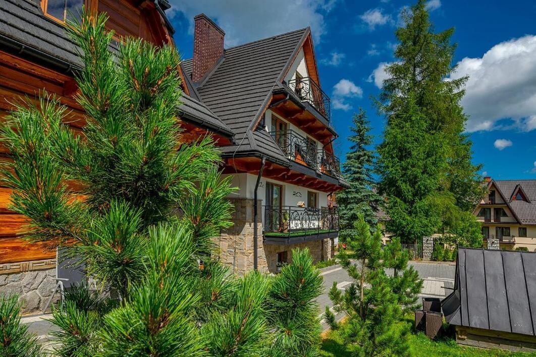 Willa Skalny Potok Zakopane Ngoại thất bức ảnh
