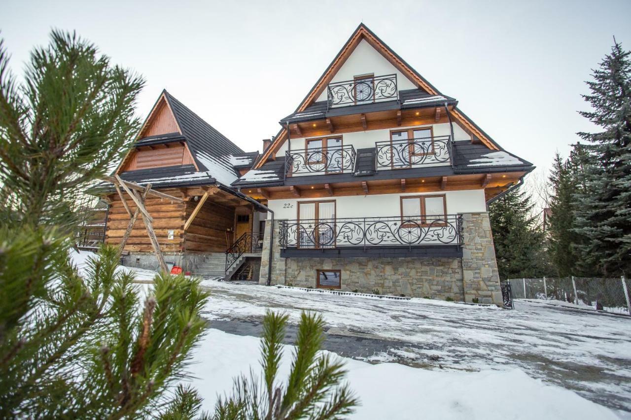 Willa Skalny Potok Zakopane Ngoại thất bức ảnh