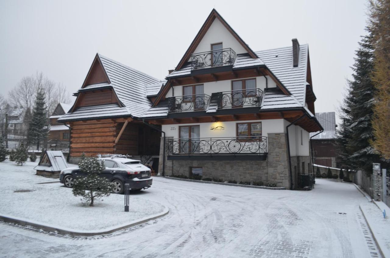 Willa Skalny Potok Zakopane Ngoại thất bức ảnh